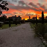 Il Tigliore * Poderi Rancoli
