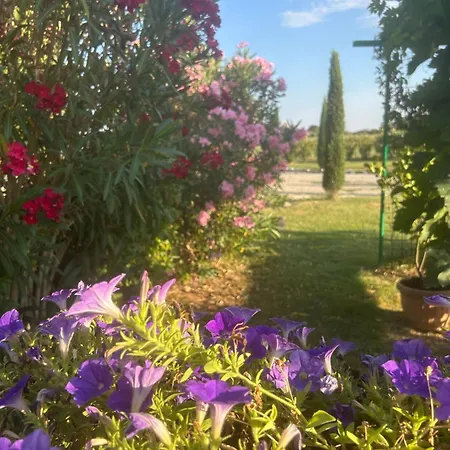 בית נופש Il Tigliore Poderi Rancoli